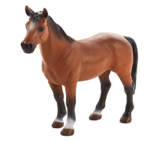 Mojo Trakehner Pferd